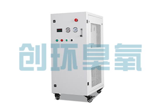 朝阳石斑鱼养殖水质调控完整指南：臭氧发生器配置与操作步骤