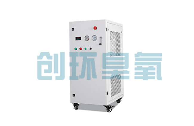 朝阳比传统换水更高效？臭氧发生器在石斑鱼养殖中的水质净化原理解析