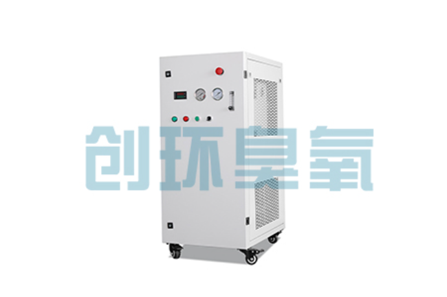 朝阳比传统换水更高效?臭氧发生器在石斑鱼养殖中的水质净化原理解析